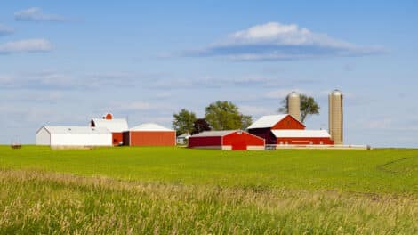 Pulse: Americans Prioritize Conservation, Forestry in Farm Bill 2023