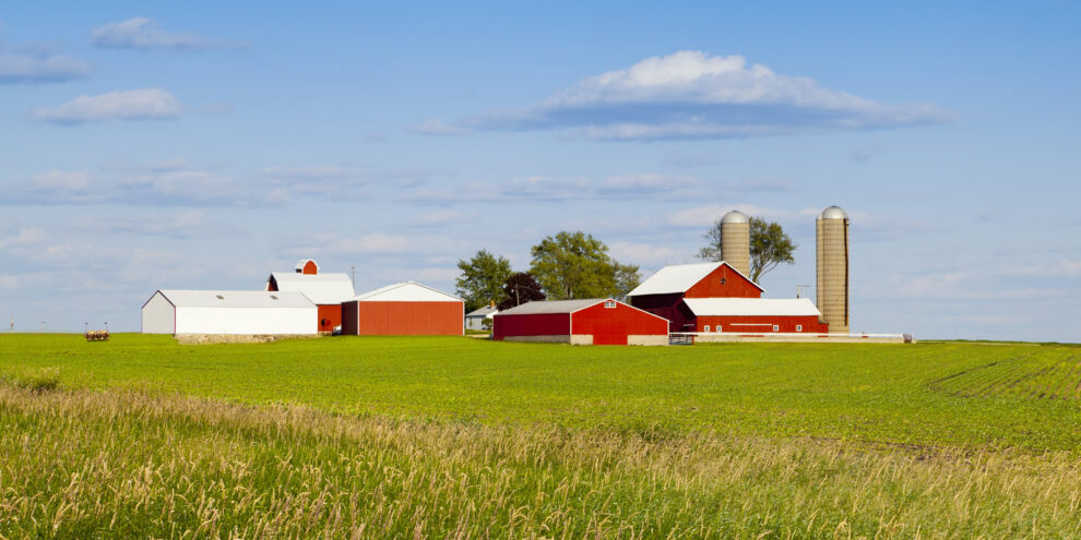 Pulse: Americans Prioritize Conservation, Forestry in Farm Bill 2023