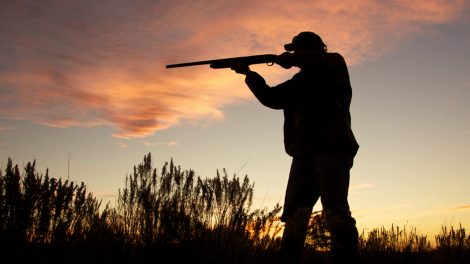 Pulse: Americans Support the Advancement of the Bipartisan Sportsmen’s Act of 2015 in Senate