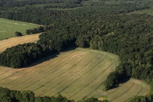 Pulse: Buyers Favor Large Tracts of Land Over Patchwork of Smaller Ones