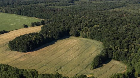Pulse: Buyers Favor Large Tracts of Land Over Patchwork of Smaller Ones