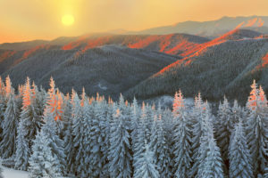 Pulse: Buyers Value Proximity to Public Land