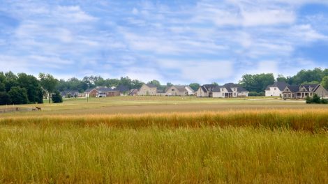 January Pulse: Conversion of Farmland Should Cost Developers