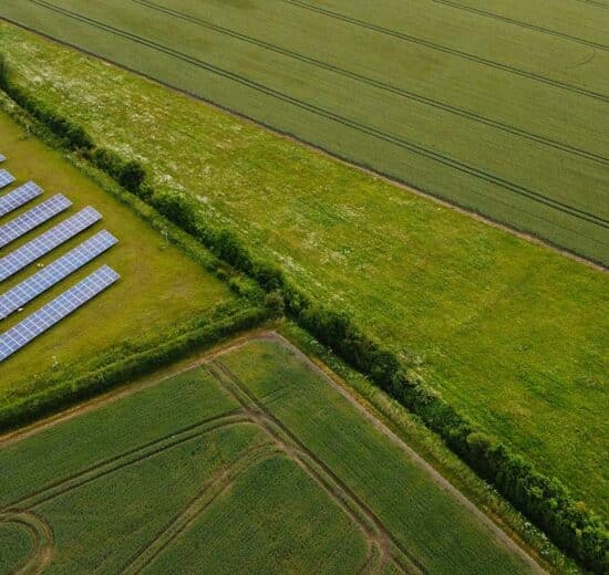 Pulse: Farmers Should Be Allowed to Lease Their Private Land for Solar Energy