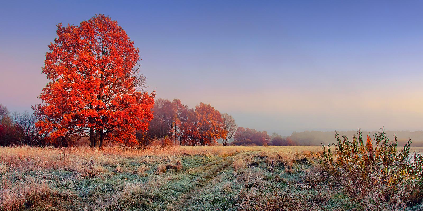 Pulse Farms and Ranches Most Desirable Type of Land to Live On LANDTHINK