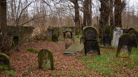 Pulse: Most Land Buyers Aren't Scared of an Old Cemetery