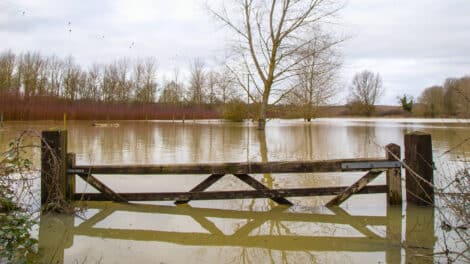 Pulse: Land Buyers Fear Flooding More Than Any Other Natural Disaster