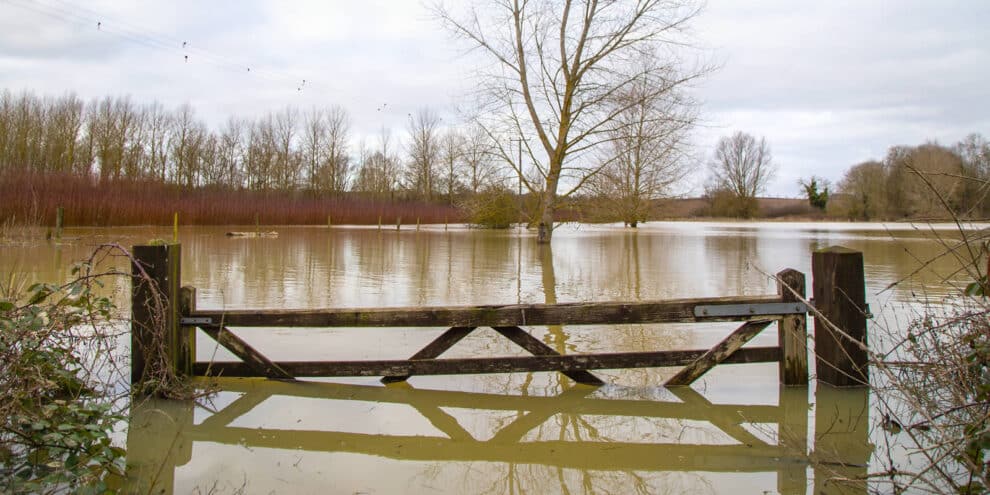 Pulse: Land Buyers Fear Flooding More Than Any Other Natural Disaster