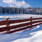 Pulse: Land, Guns, Ammo Rank as Americans’ Most Important Investment