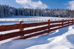 Pulse: Land, Guns, Ammo Rank as Americans’ Most Important Investment