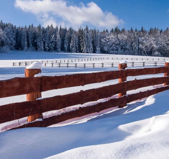 Pulse: Land, Guns, Ammo Rank as Americans’ Most Important Investment