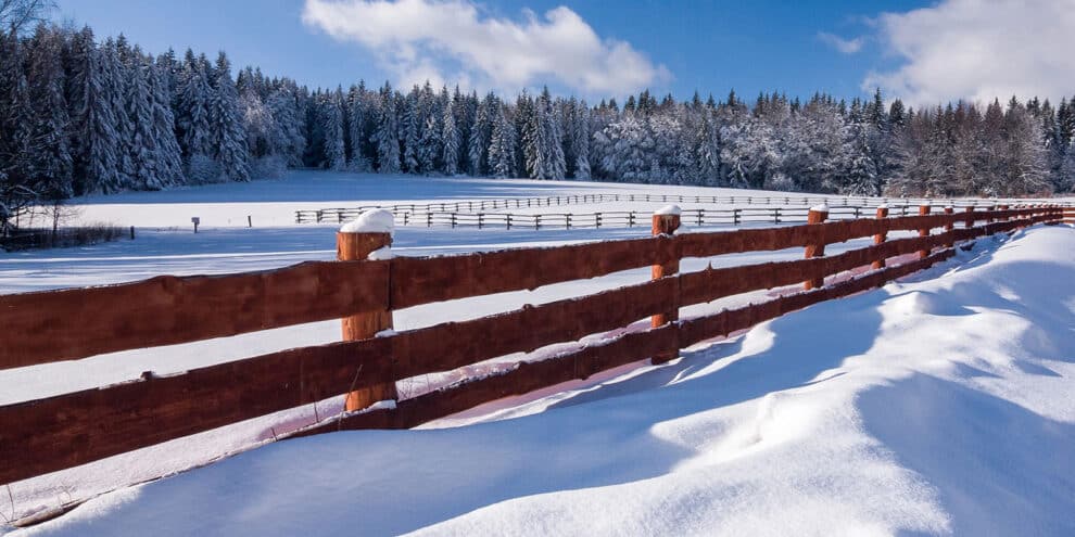 Pulse: Land, Guns, Ammo Rank as Americans’ Most Important Investment