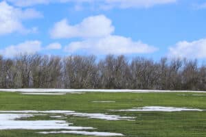 Pulse: Land is the Top Pick Over Other Assets for Investing
