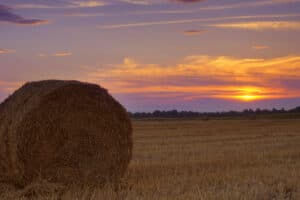 Pulse: Land Market Resilience Shines One Year After Rate Shock, Soaring Inflation