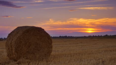 Pulse: Land Market Resilience Shines One Year After Rate Shock, Soaring Inflation