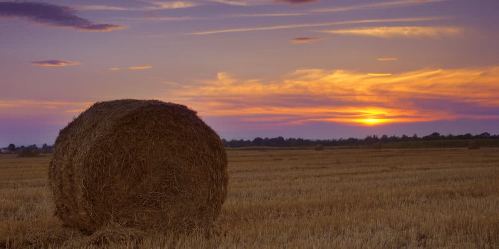 Pulse: Land Market Resilience Shines One Year After Rate Shock, Soaring Inflation