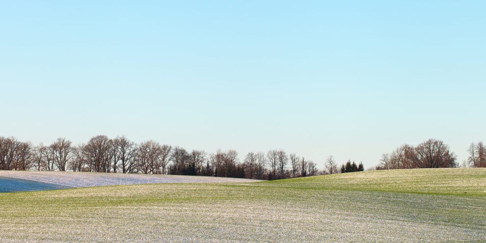 Pulse: Landowners Expected to Defer Listing Their Land