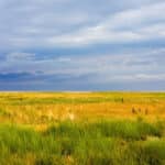 Pulse: Majority Believe the Bureau of Land Management's Power Should Be Curtailed