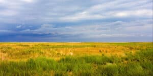 Pulse: Majority Believe the Bureau of Land Management's Power Should Be Curtailed