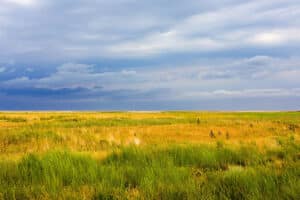 Pulse: Majority Believe the Bureau of Land Management's Power Should Be Curtailed