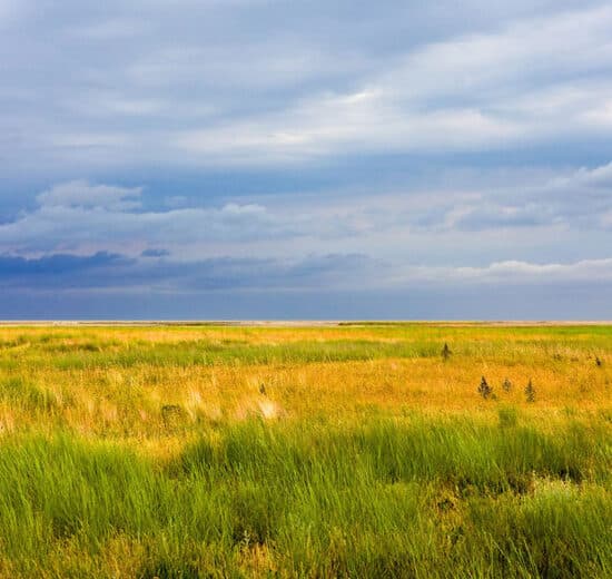 Pulse: Majority Believe the Bureau of Land Management's Power Should Be Curtailed