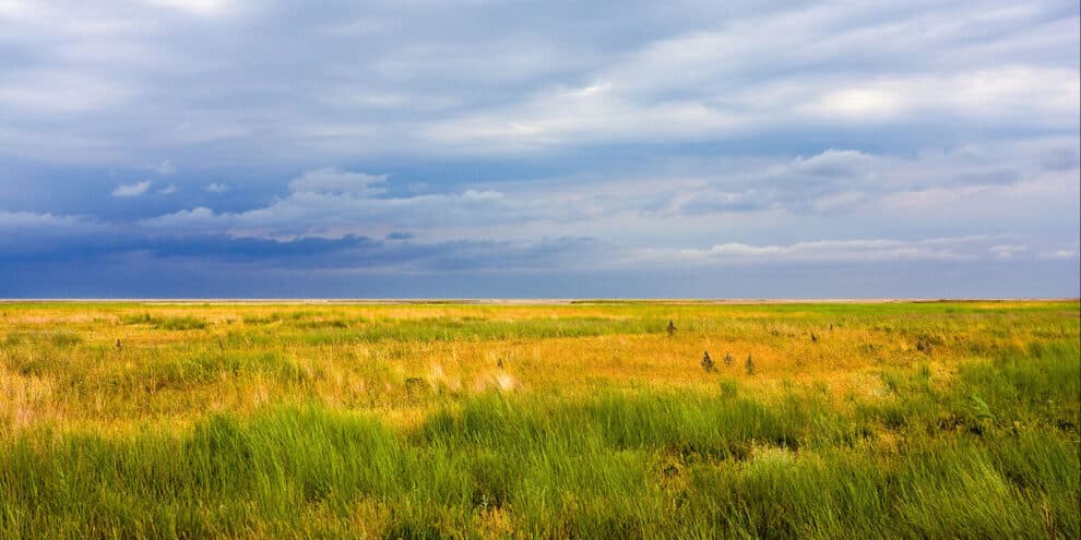 Pulse: Majority Believe the Bureau of Land Management's Power Should Be Curtailed