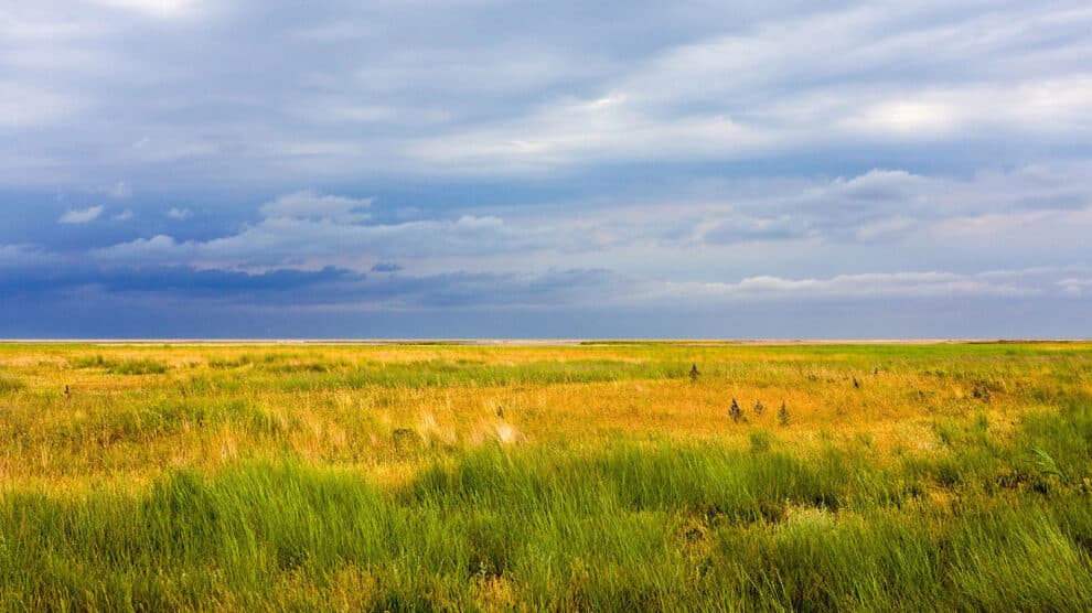 Pulse: Majority Believe the Bureau of Land Management's Power Should Be Curtailed