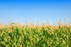 Pulse: Majority in Support of Farmland Preservation Policies