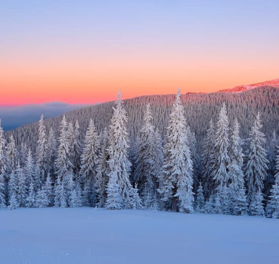 Pulse: Most Americans Oppose Data Center Construction in Rural Communities