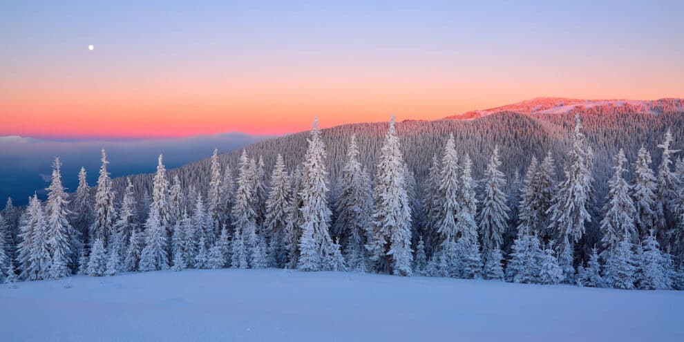 Pulse: Most Americans Oppose Data Center Construction in Rural Communities