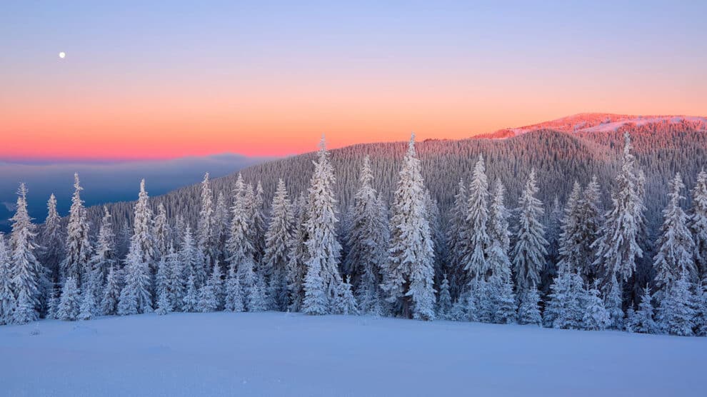 Pulse: Most Americans Oppose Data Center Construction in Rural Communities