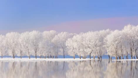 Pulse: Prospective Land Buyers Optimistic and Ready to Jump in 2026