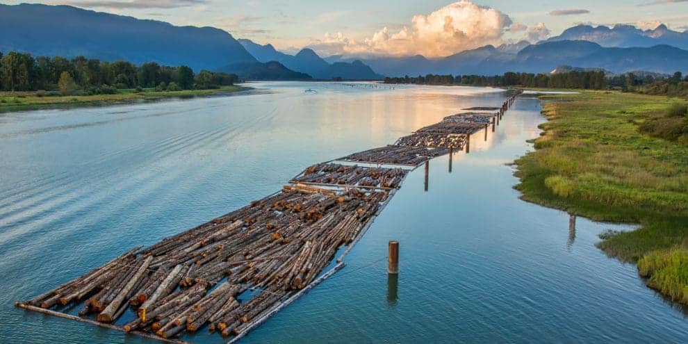 Pulse: Public Backs Trump Tariffs Levied on Canadian Lumber