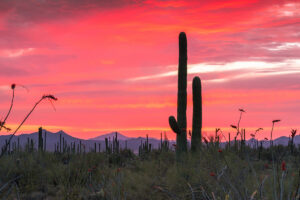 Pulse: Public Land Should Remain in the Public’s Hands