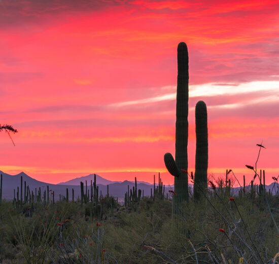 Pulse: Public Land Should Remain in the Public’s Hands