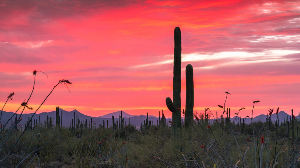 Pulse: Public Land Should Remain in the Public’s Hands