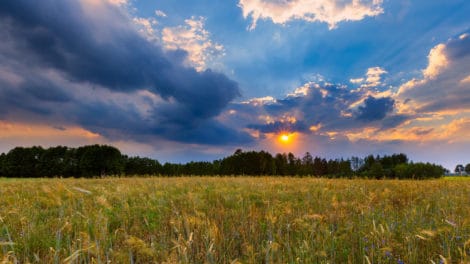 Pulse: Retirement Plans Wield Mighty Influence on Land Buying Sentiment