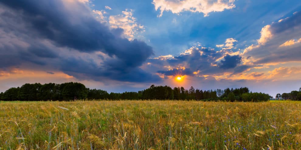 Pulse: Retirement Plans Wield Mighty Influence on Land Buying Sentiment