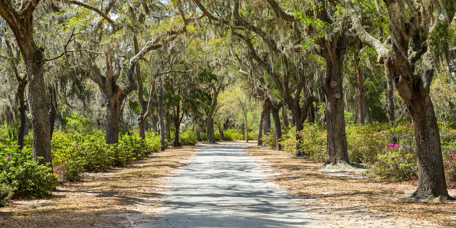 Pulse: Southeast U.S. Wins Favor with Land Buyers - LANDTHINK