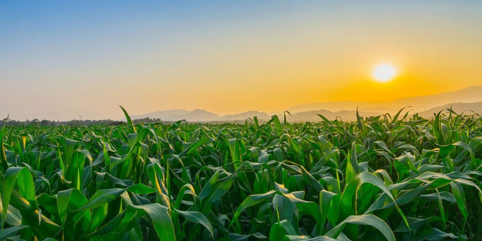 Pulse: Vanishing Farmland is the Biggest Threat to the Future of Ag Land Ownership
