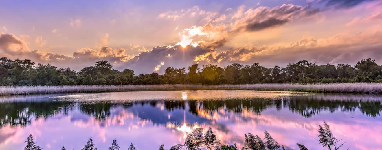 Pulse: Distinctive Water Feature Appeals to Buyers of Hunting Land