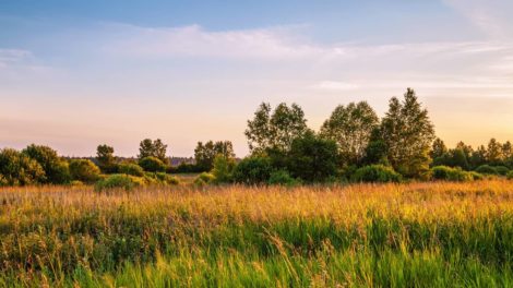 Pulse: When Making Land Improvements, Well Water is First Order of Business