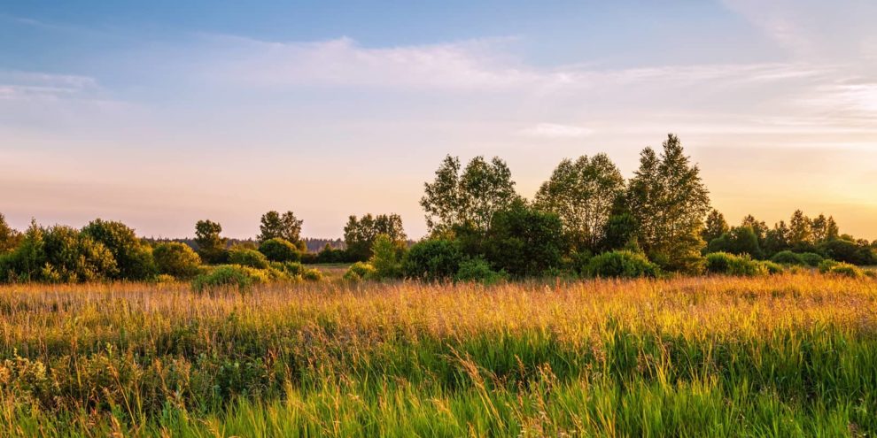 Pulse: When Making Land Improvements, Well Water is First Order of Business