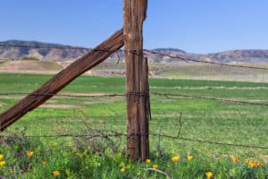 Ranch Life: Then vs. Now