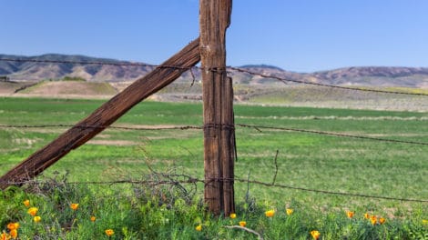 Ranch Life: Then vs. Now