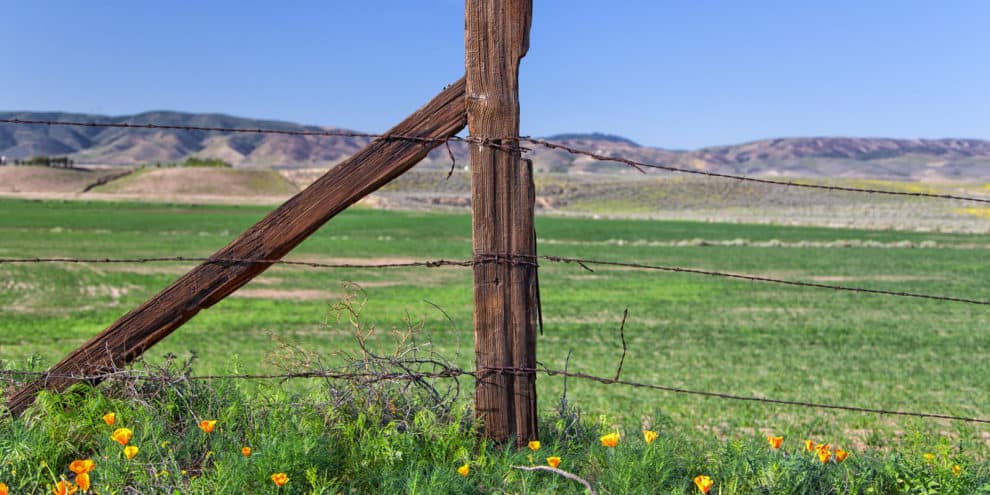 Ranch Life: Then vs. Now