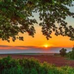 From Digital Nomads to Dirt Roads: Why Remote Workers Are Driving Up Demand for Recreational Land