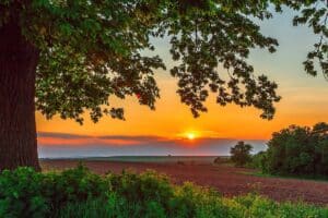 From Digital Nomads to Dirt Roads: Why Remote Workers Are Driving Up Demand for Recreational Land