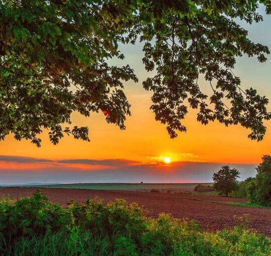 From Digital Nomads to Dirt Roads: Why Remote Workers Are Driving Up Demand for Recreational Land