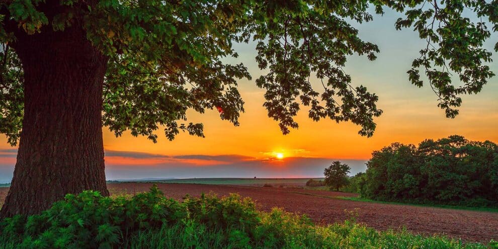 From Digital Nomads to Dirt Roads: Why Remote Workers Are Driving Up Demand for Recreational Land